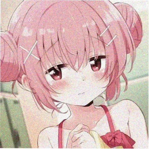 嘉宾 白鹿